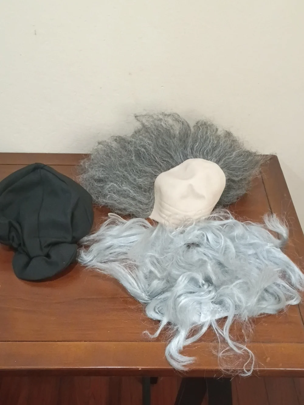 Leonardo da Vinci Halloween Instant Disguise